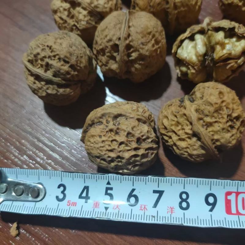 云南麻子核桃新货不是方果，大量现货供应，价格美丽