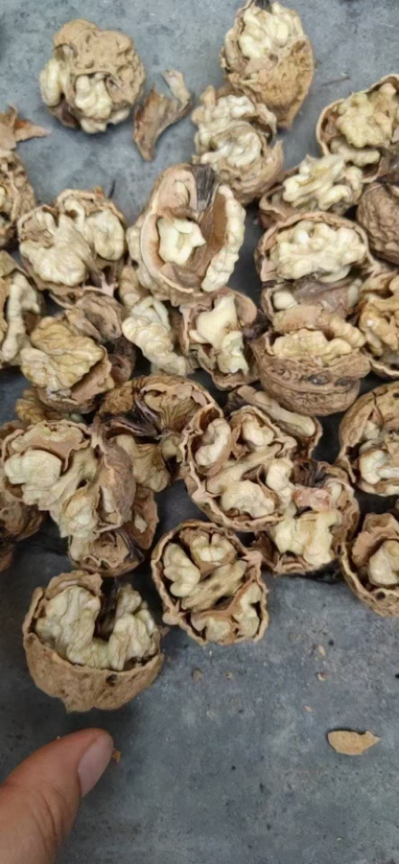 云南麻子核桃新货不是方果，大量现货供应，价格美丽
