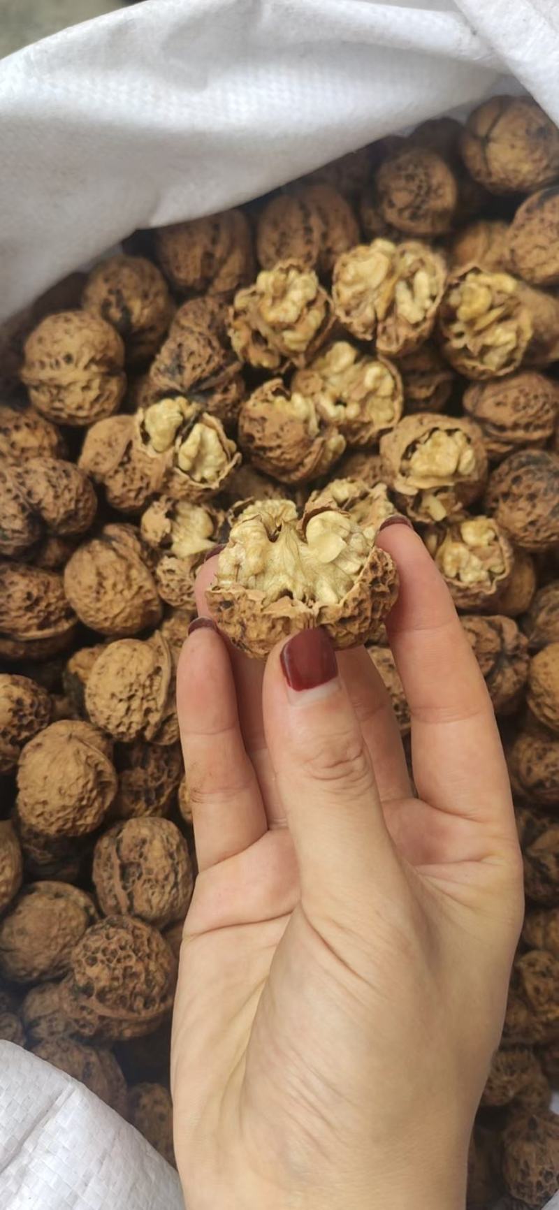 云南麻子核桃新货不是方果，大量现货供应，价格美丽