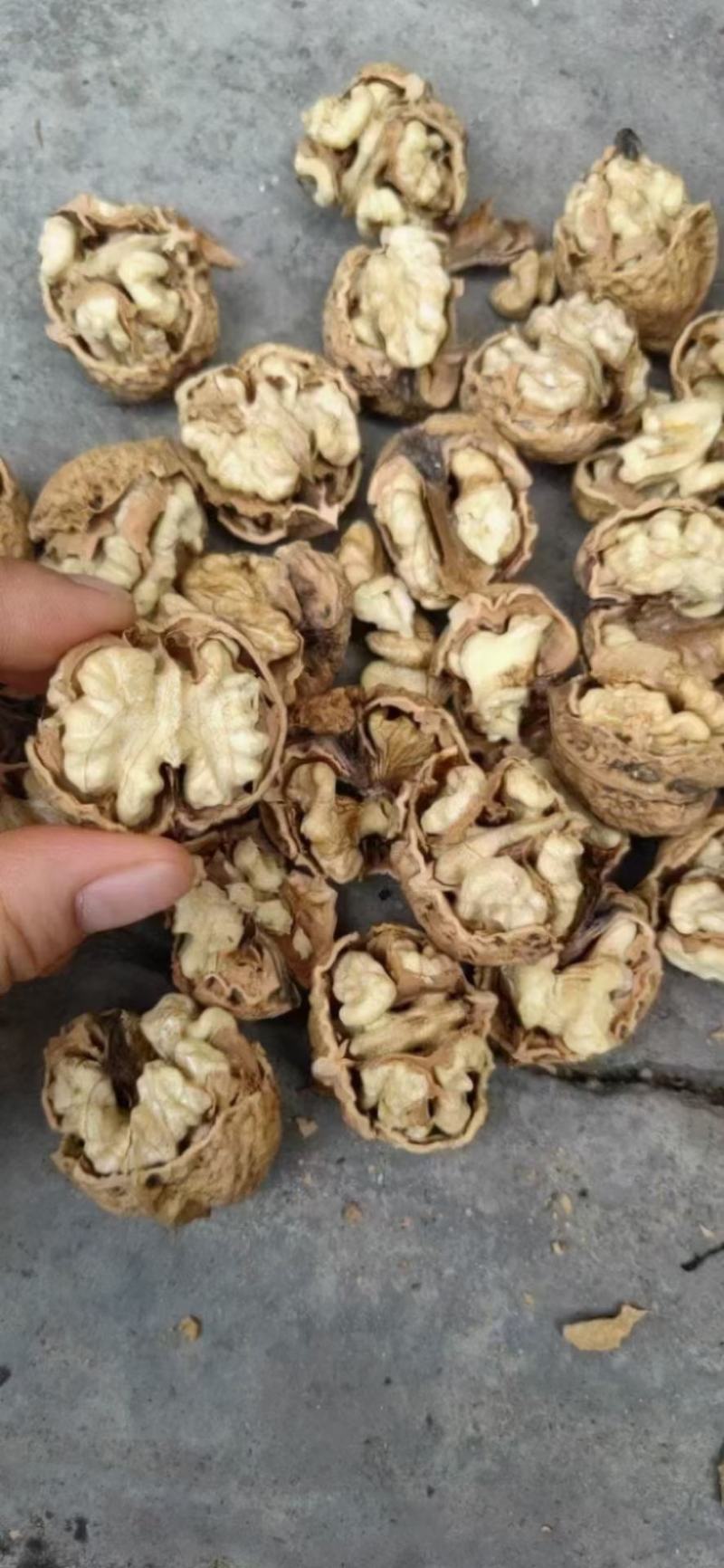 云南麻子核桃新货不是方果，大量现货供应，价格美丽