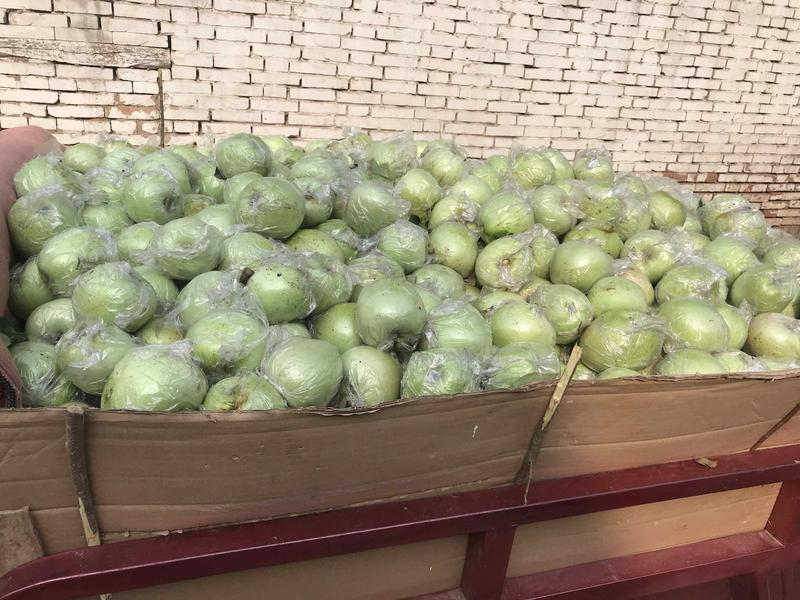 河北王林，印度青苹果80以上电商社区团购超市