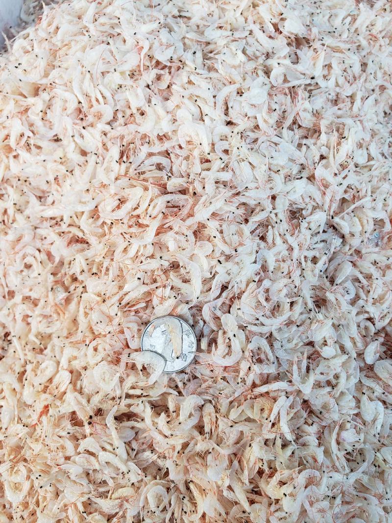 【虾皮】中小板虾皮产地直发，商超团购主打产品欢迎采购