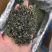 春茶毛尖绿茶贵州茶叶明前春茶浓香型散装批发高香型