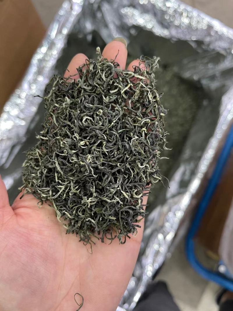 春茶毛尖绿茶贵州茶叶明前春茶浓香型散装批发高香型