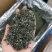 春茶毛尖绿茶贵州茶叶明前春茶浓香型散装批发高香型