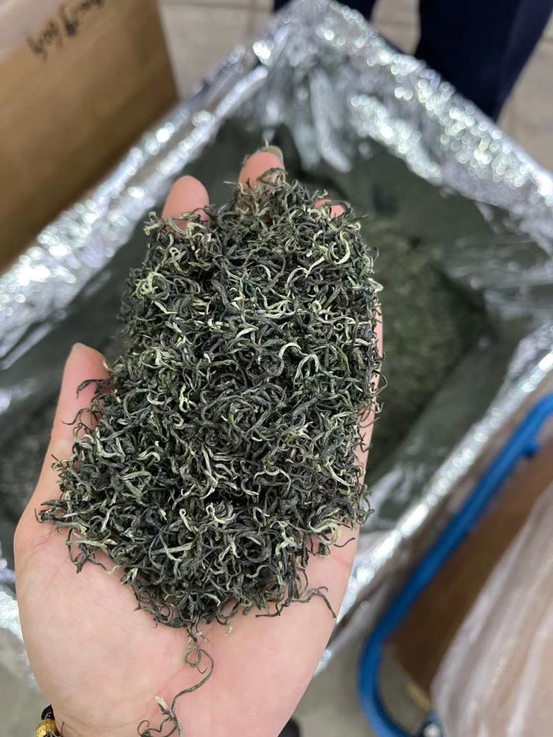 春茶毛尖绿茶贵州茶叶明前春茶浓香型散装批发高香型