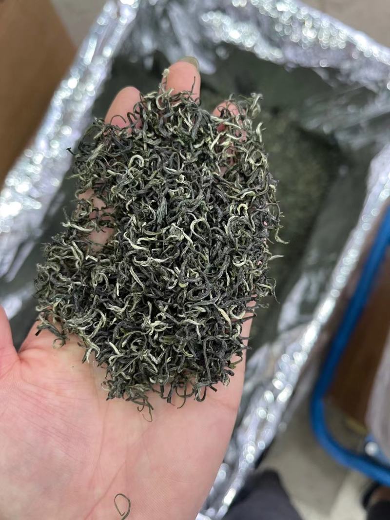 春茶毛尖绿茶贵州茶叶明前春茶浓香型散装批发高香型