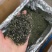 春茶毛尖绿茶贵州茶叶明前春茶浓香型散装批发高香型