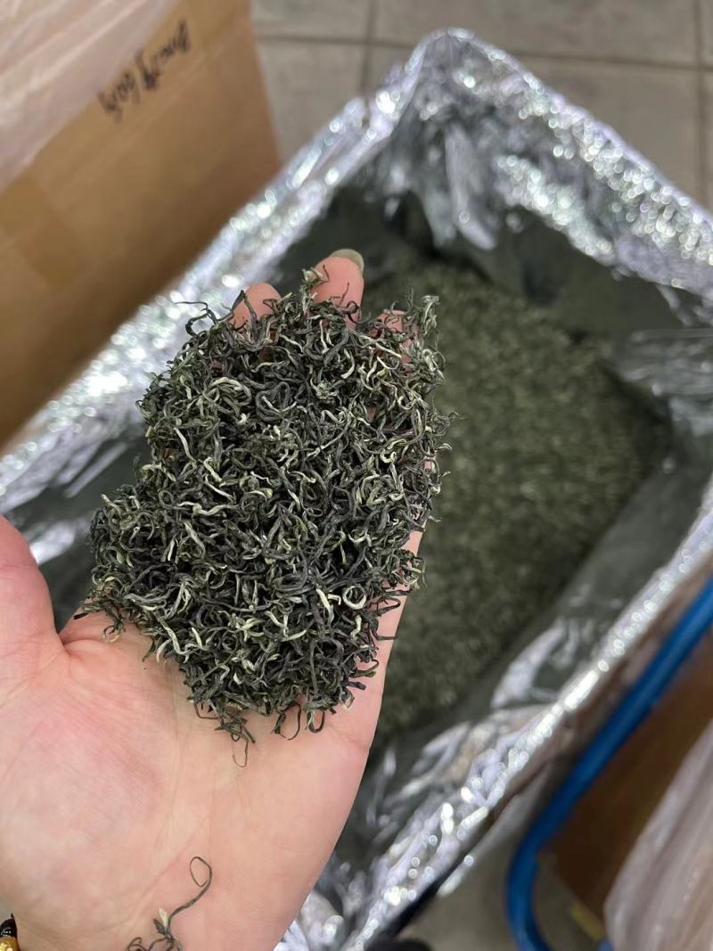 春茶毛尖绿茶贵州茶叶明前春茶浓香型散装批发高香型