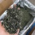 春茶毛尖绿茶贵州茶叶明前春茶浓香型散装批发高香型