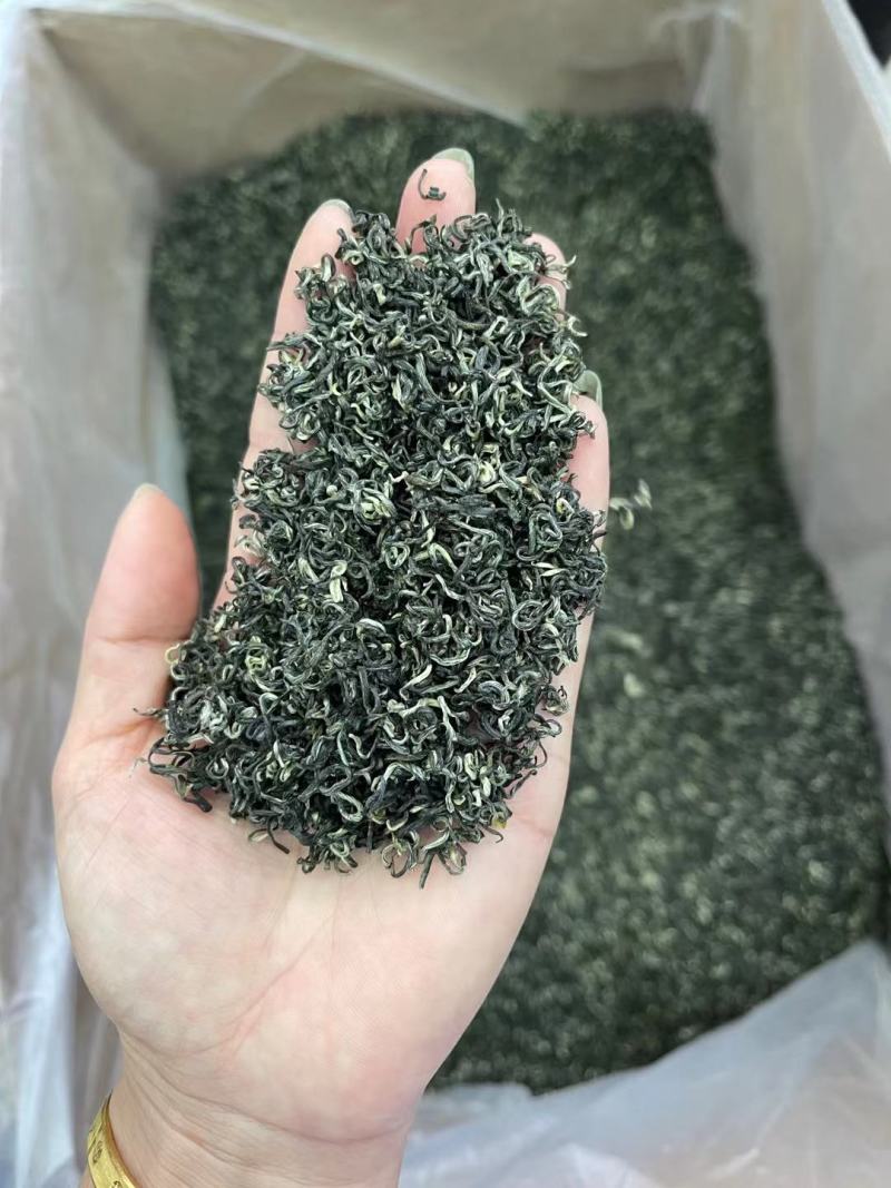 遵义毛峰绿茶栗香型贵州高山茶叶云雾春茶浓香厂家直发批发价