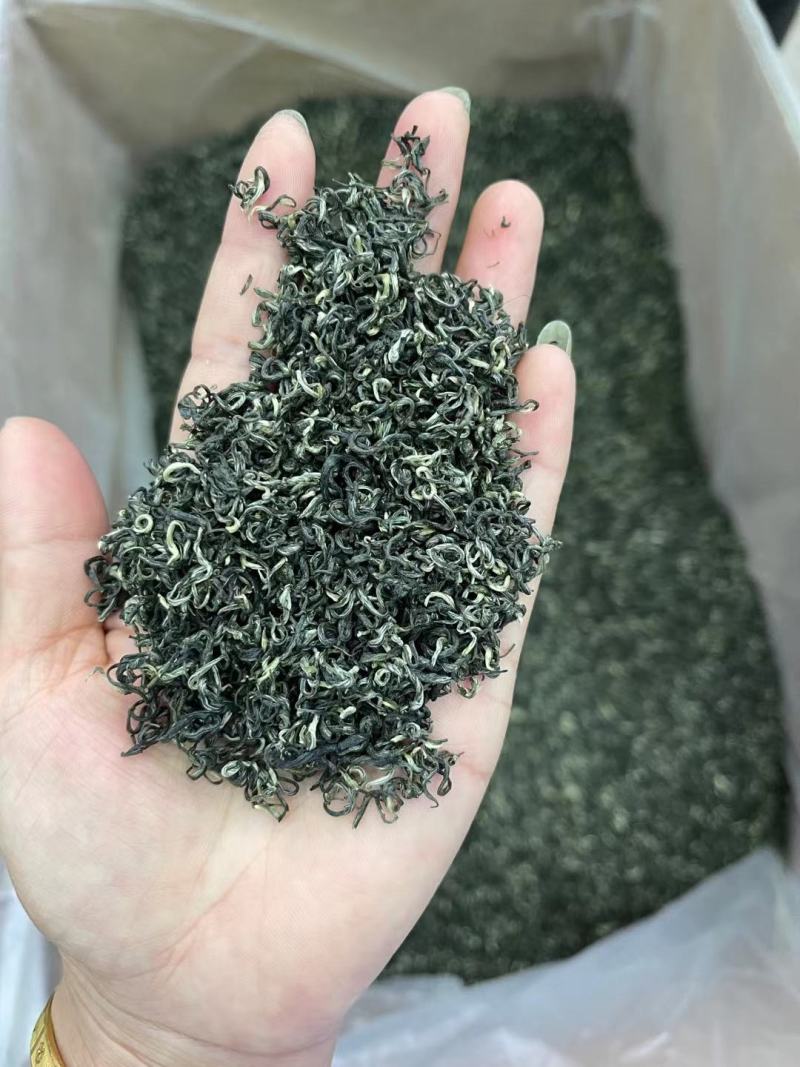 遵义毛峰绿茶栗香型贵州高山茶叶云雾春茶浓香厂家直发批发价
