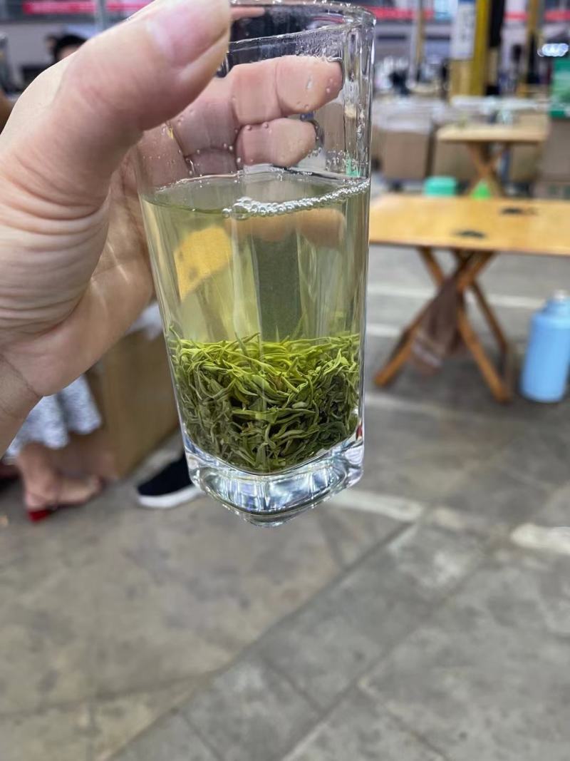遵义毛峰绿茶栗香型贵州高山茶叶云雾春茶浓香厂家直发批发价