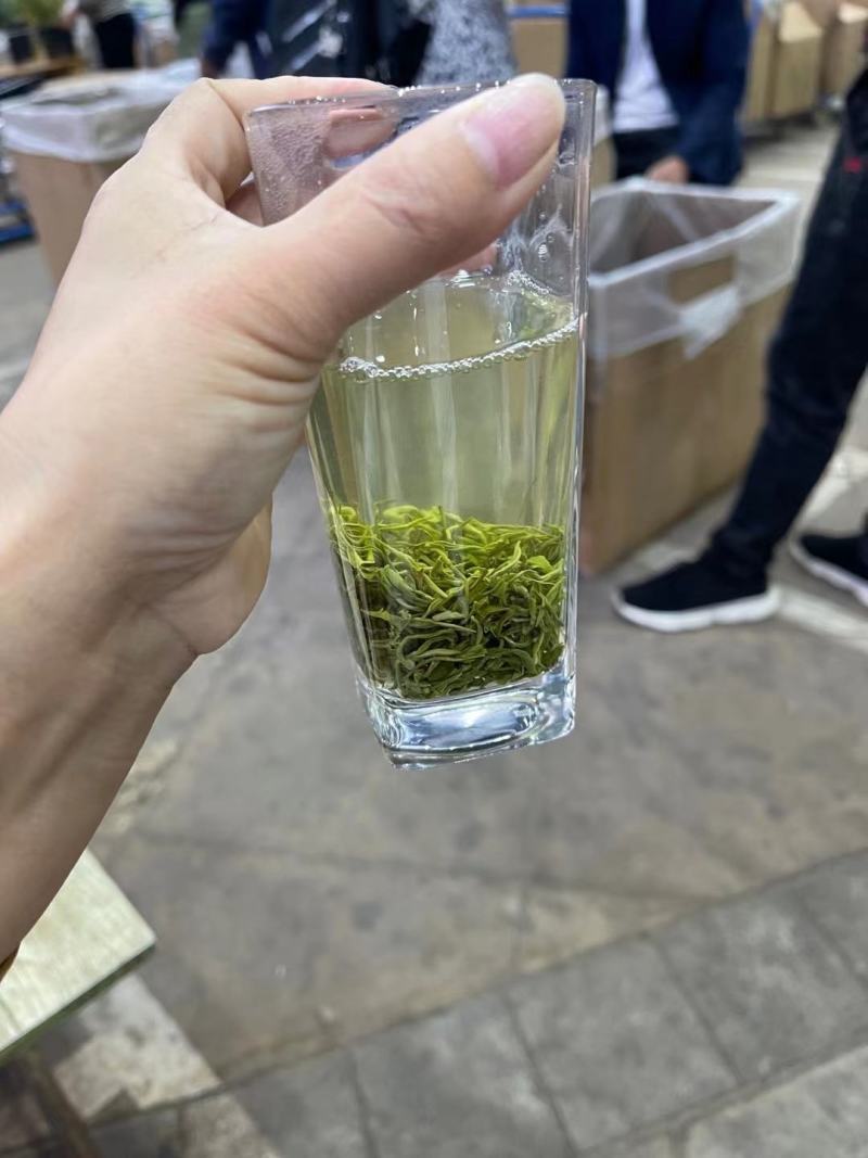 遵义毛峰绿茶栗香型贵州高山茶叶云雾春茶浓香厂家直发批发价