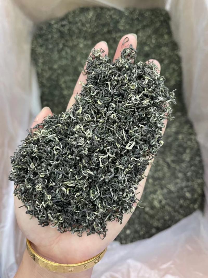 遵义毛峰绿茶栗香型贵州高山茶叶云雾春茶浓香厂家直发批发价