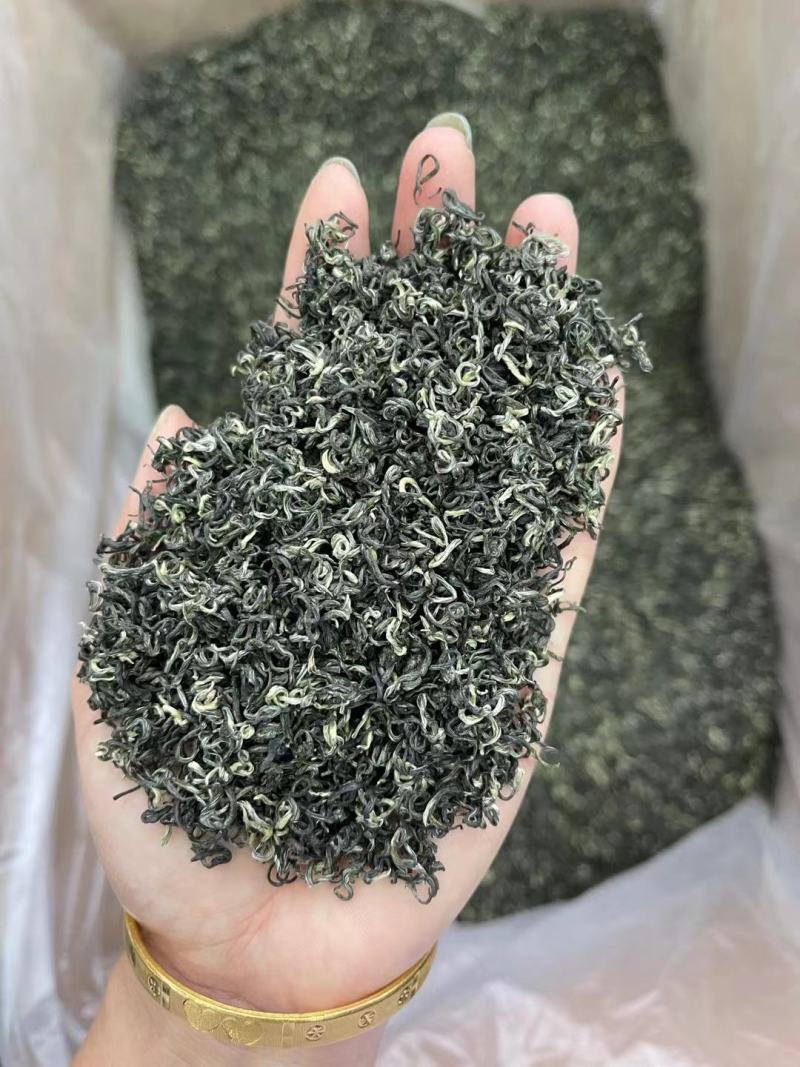 遵义毛峰绿茶栗香型贵州高山茶叶云雾春茶浓香厂家直发批发价