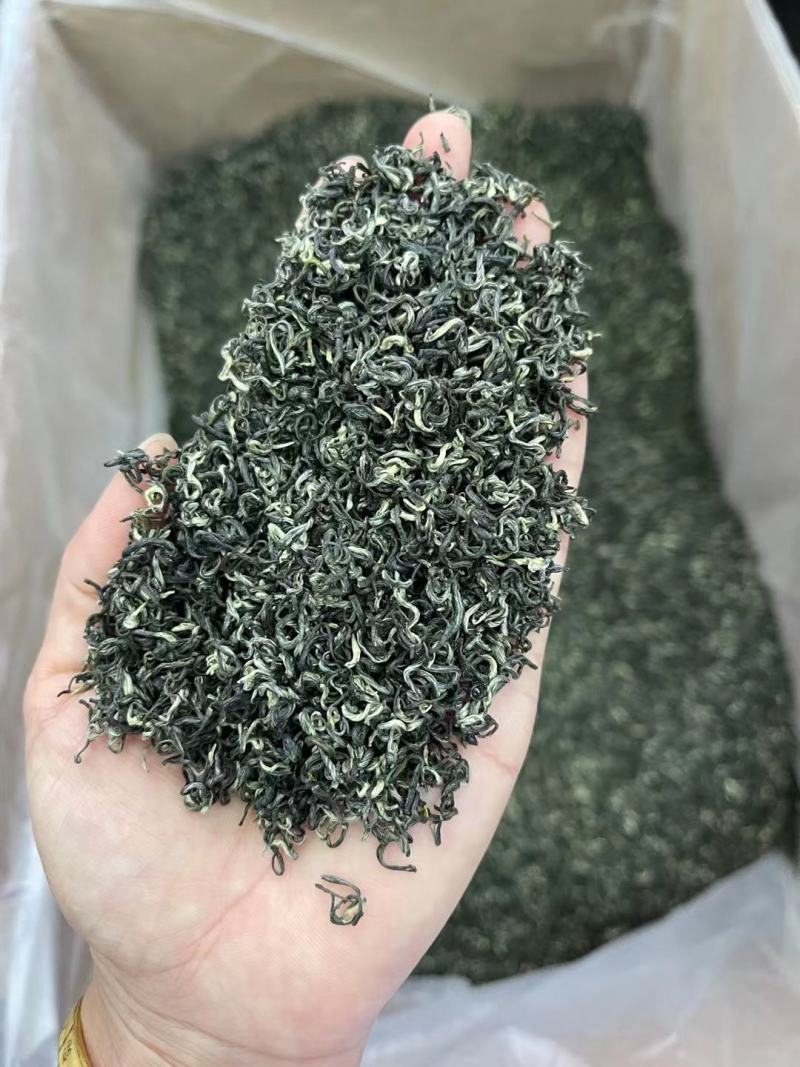 遵义毛峰绿茶栗香型贵州高山茶叶云雾春茶浓香厂家直发批发价