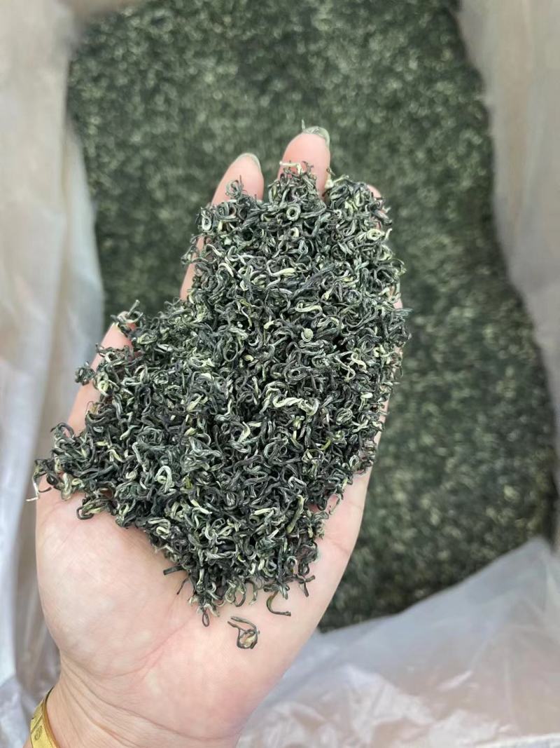 遵义毛峰绿茶栗香型贵州高山茶叶云雾春茶浓香厂家直发批发价