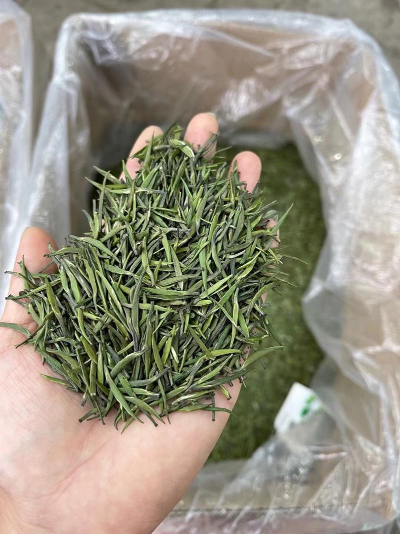 湄潭翠芽茶叶雀舌绿茶贵州高山云雾茶春茶批发产地直达