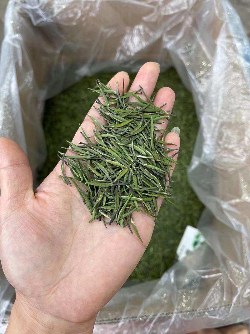 湄潭翠芽茶叶雀舌绿茶贵州高山云雾茶春茶批发产地直达