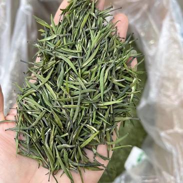 湄潭翠芽茶叶雀舌绿茶贵州高山云雾茶春茶批发产地直达