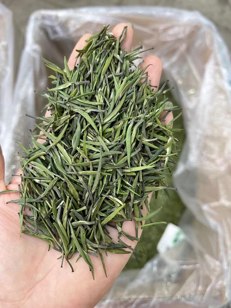 湄潭翠芽茶叶雀舌绿茶贵州高山云雾茶春茶批发产地直达