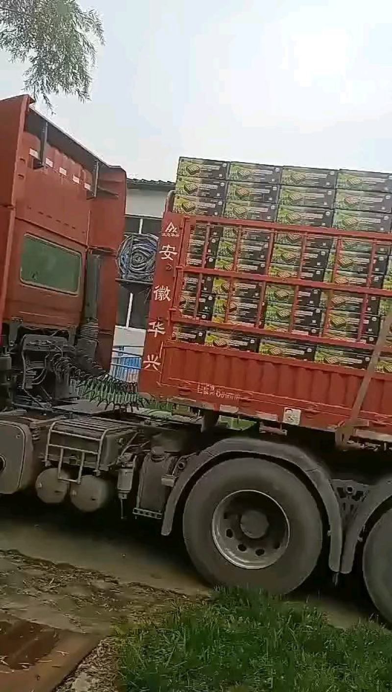 大棚增温块加温块大棚增温块燃烧升温碳草莓菜园大棚专用加热