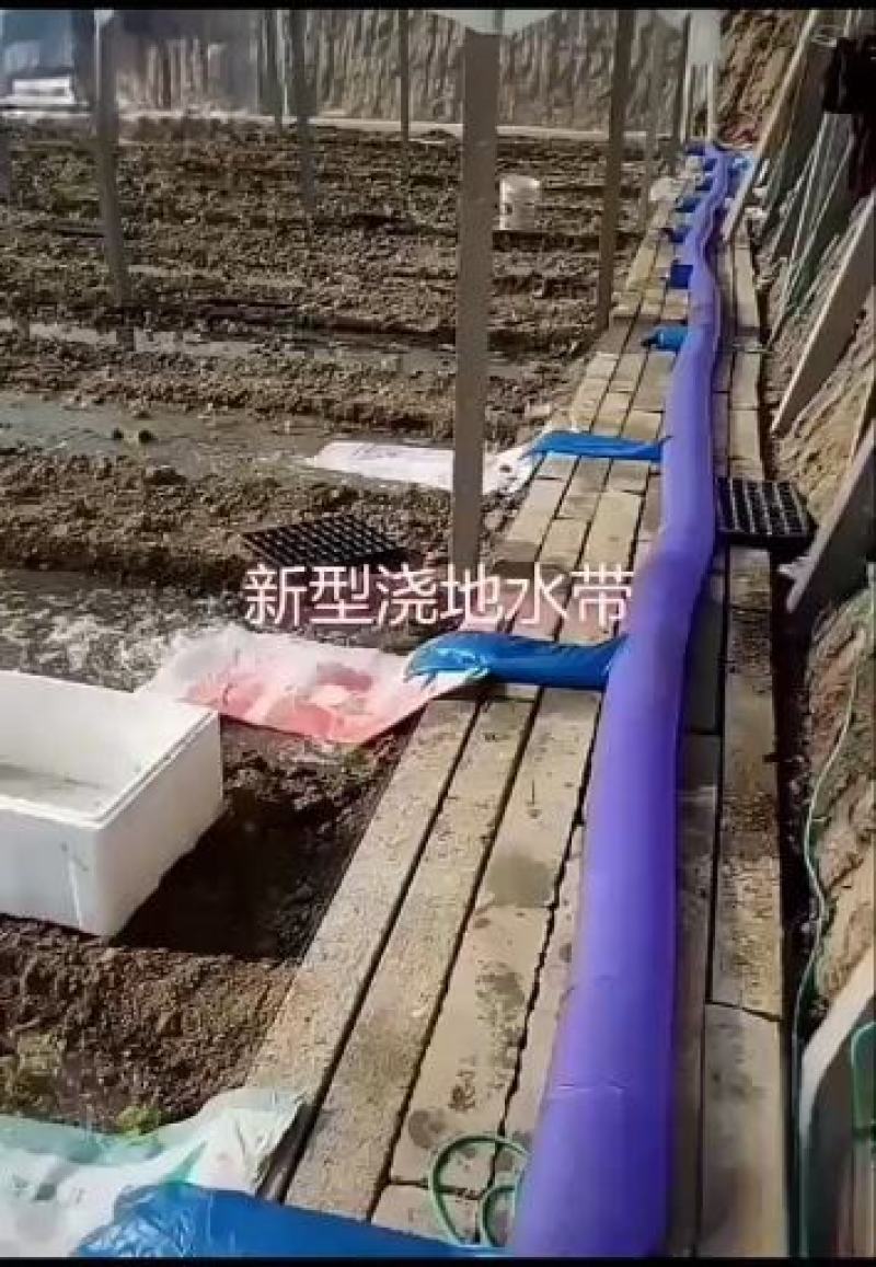 浇地布水带，你用过了吗？同时本厂也招代理！