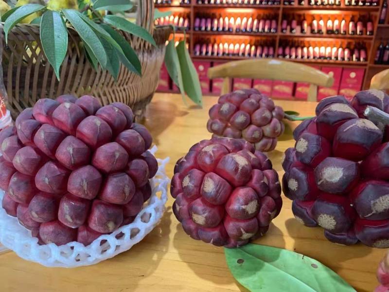 一件代发顺丰包邮黑老虎水果新鲜恶魔果布福娜酒饭团