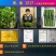乾德1217水果黄瓜种子1000粒/袋无刺油亮口感好产量