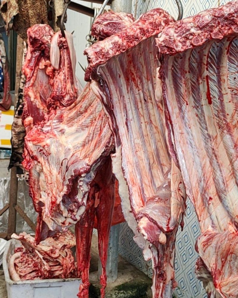 活驴现宰！肉质新鲜！
