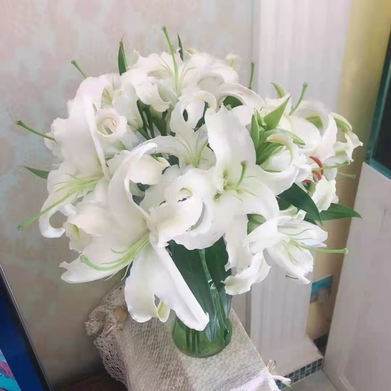 【百合花】云南昆明基地直批123多头粉白黄红颜色齐全现採