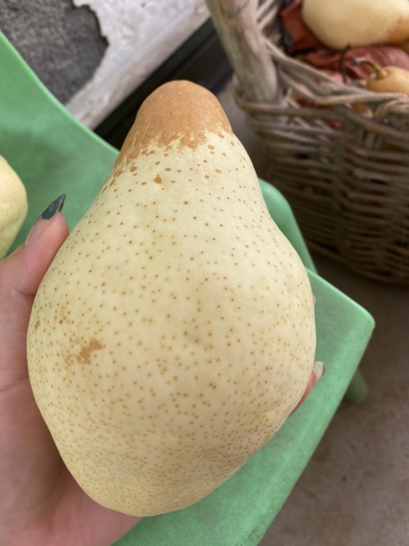 五九香，老少皆宜