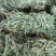 鸡骨草～新货扎把鸡骨草～长把的40一公斤～1公斤起售～