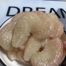 仙游老树文旦柚