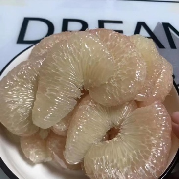 仙游老树文旦柚