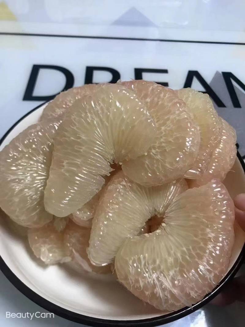 仙游老树文旦柚