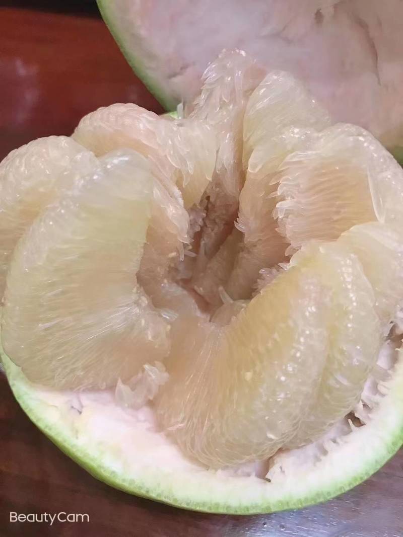 仙游老树文旦柚