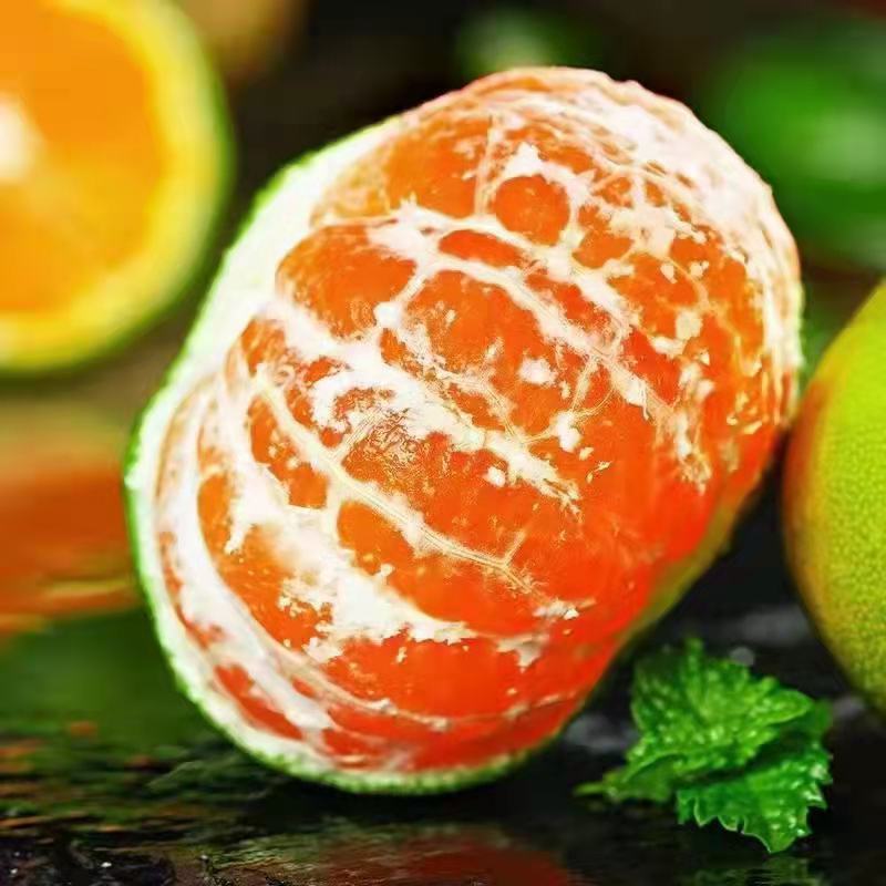 直供柑橘【蜜橘】叶橘直供皮薄肉嫩口味甜货美果大价格优