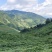 钦密九号黄金百香果高山基地原产地广西桂林发货批发现货，