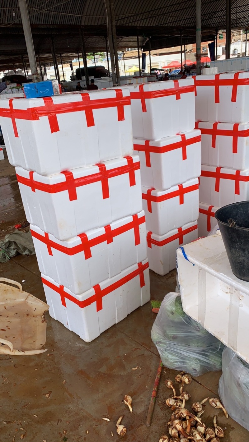 云南精品大中小号茨菇大量上市全年不断货，全球发货欢迎咨询