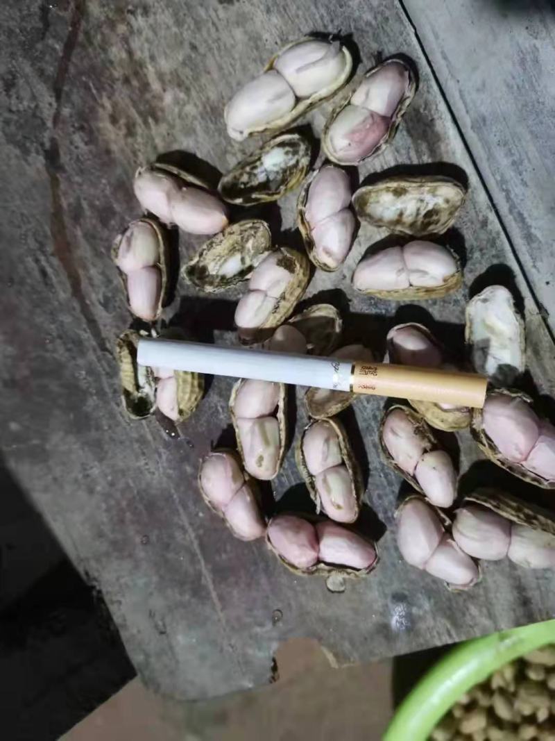 小鲜果