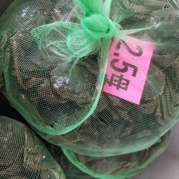 大闸蟹