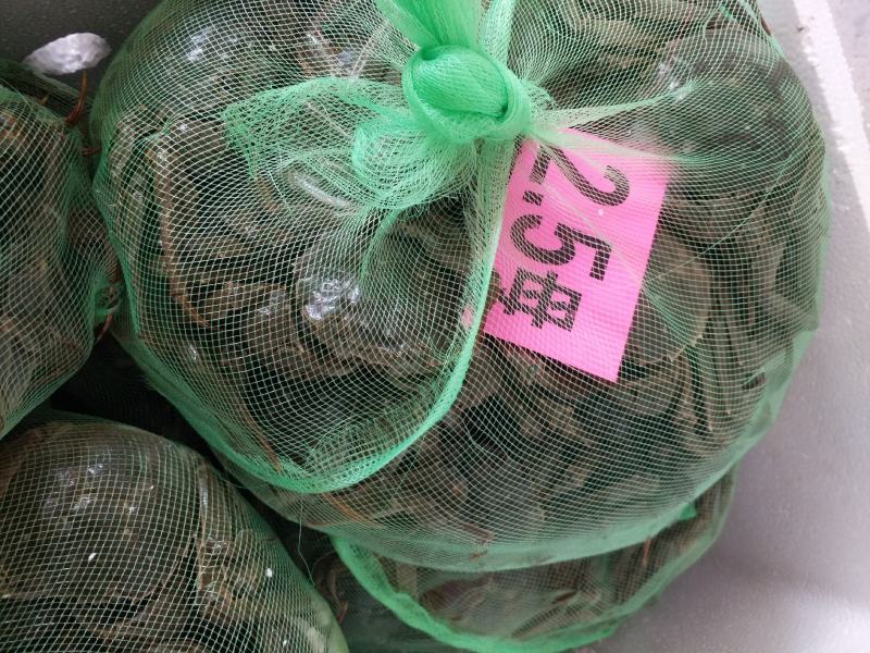 大闸蟹