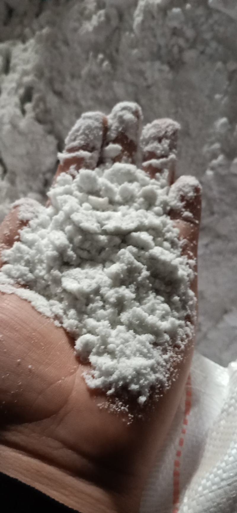 出售蛋白粉提蛋白。蛋白粉，