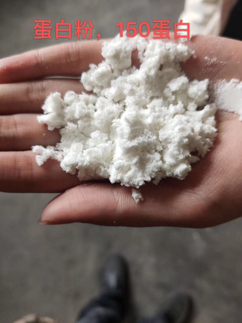 出售蛋白粉提蛋白。蛋白粉，