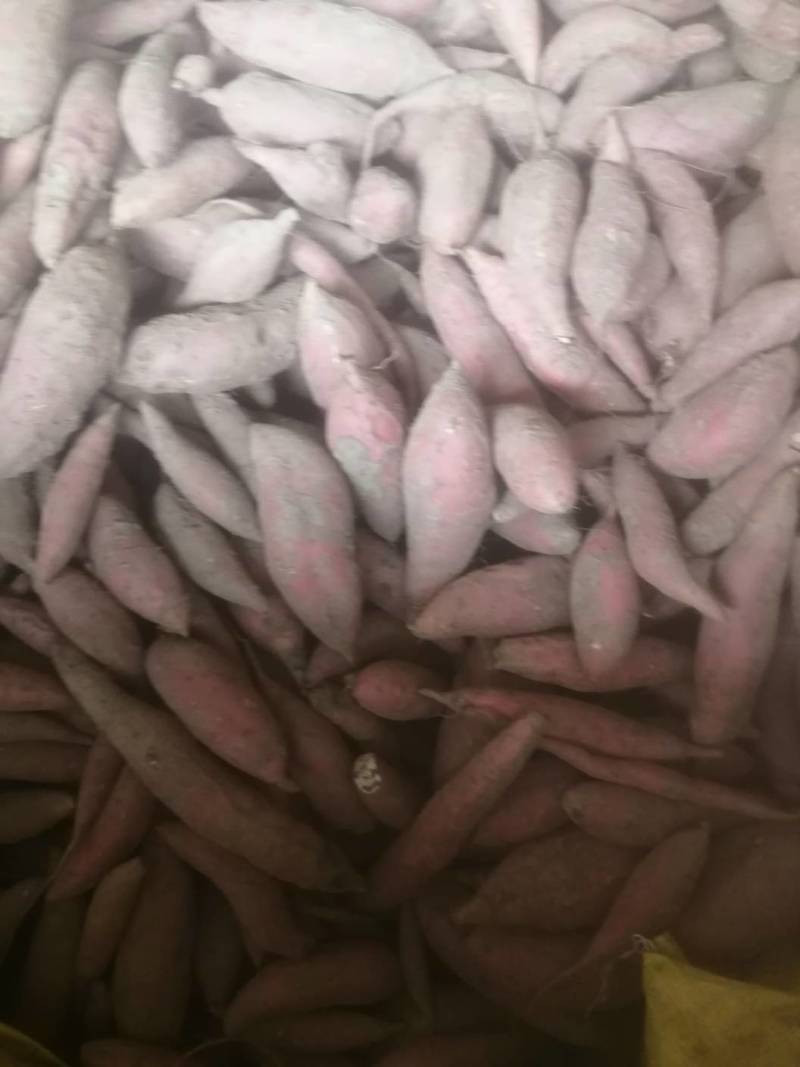 烟薯25，3-6两微商联系，灌袋子。灌网袋都可以