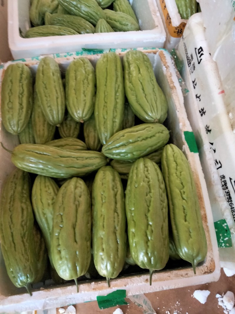 广东徐闻精品丝瓜