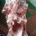 大羊胯骨羔羊胯骨，质量好，肉多，一手货源，全国冷链发货，