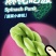 网红菠菜小麻花批发